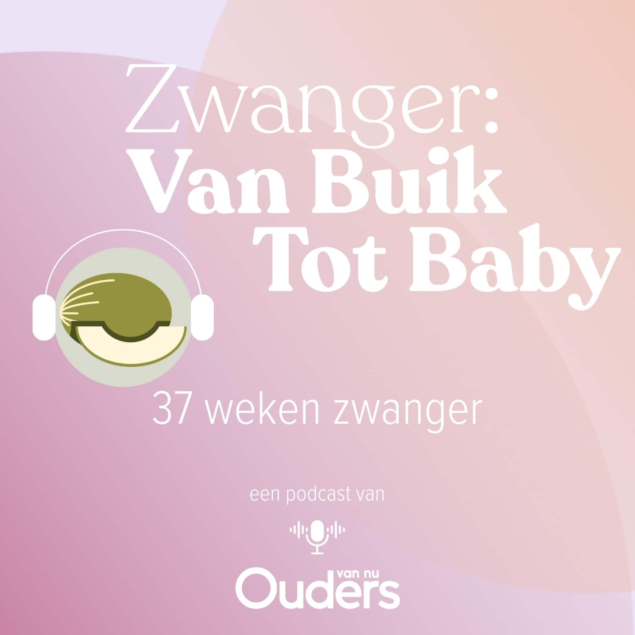 zwanger van buik tot baby 37 weken zwanger