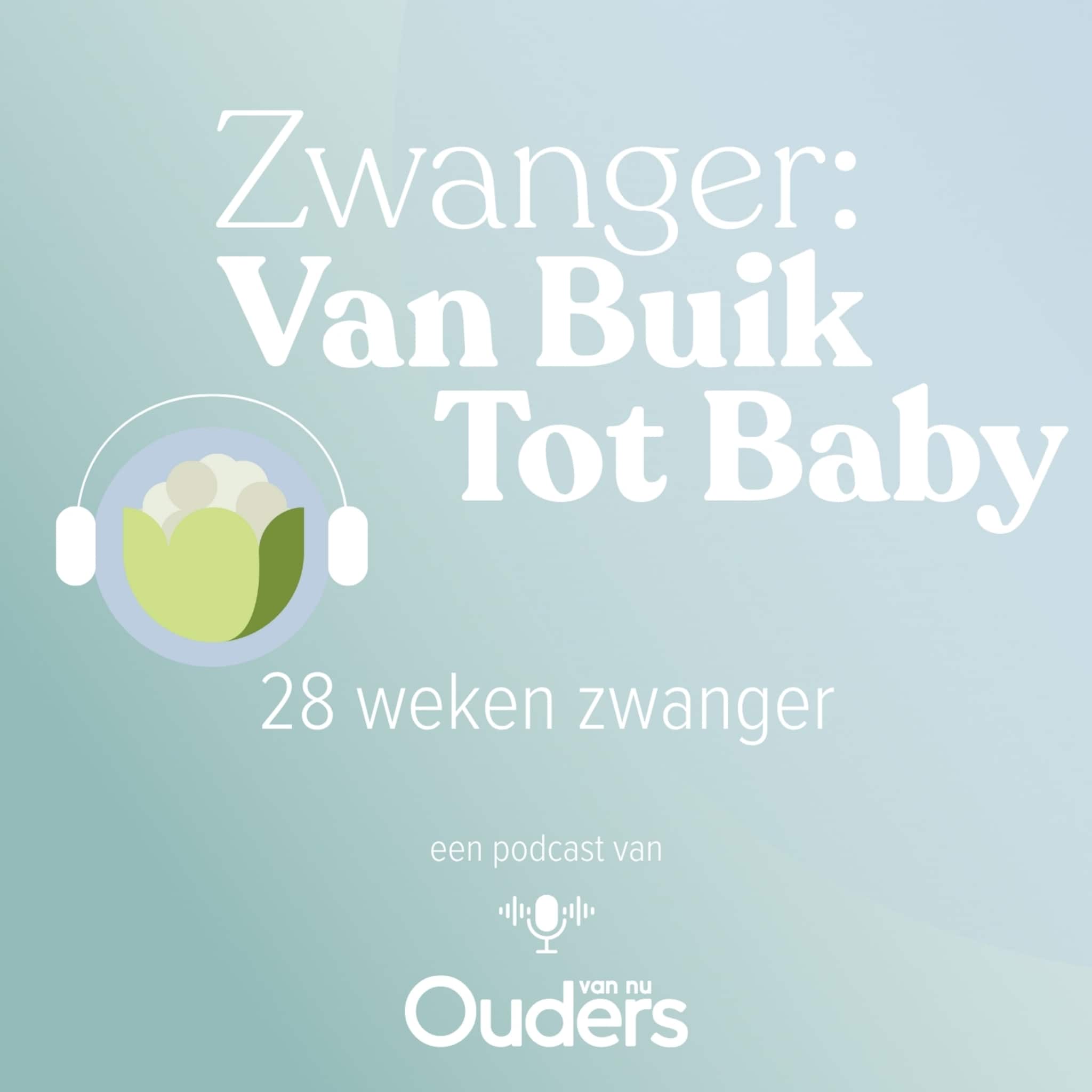zwanger van buik tot baby 28 weken zwanger