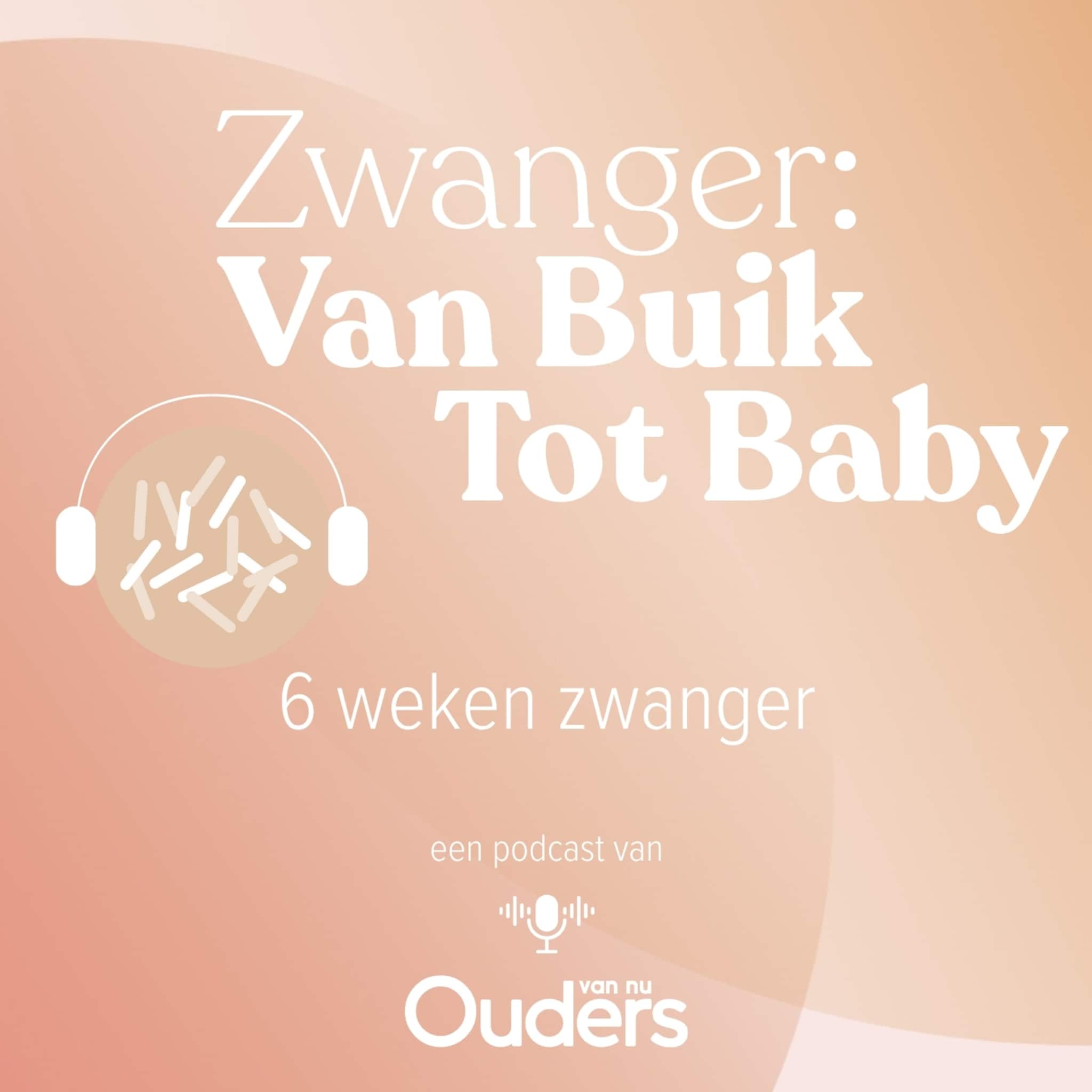 zwanger van buik tot baby 6 weken zwanger