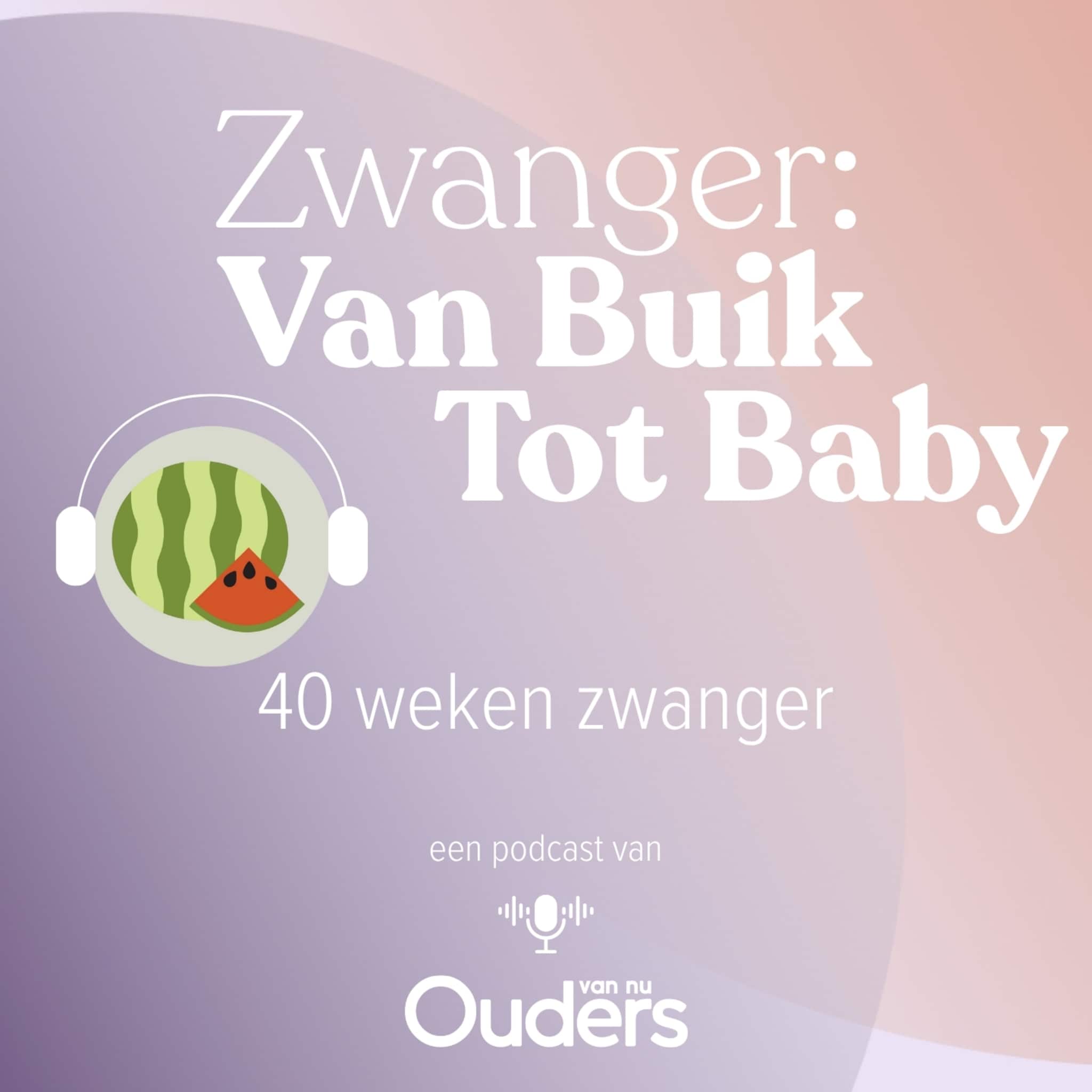 zwanger van buik tot baby 40 weken zwanger