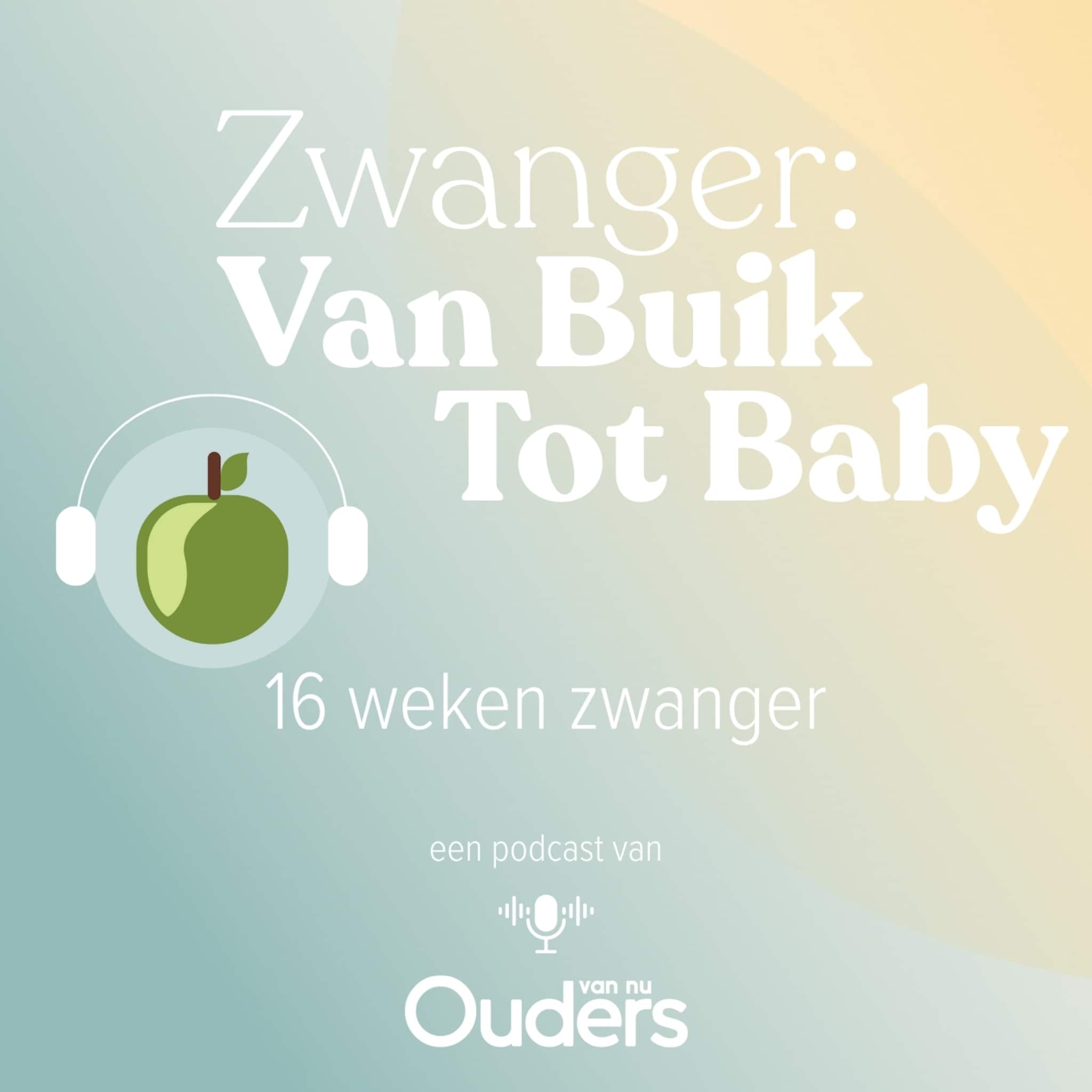zwanger van buik tot baby 16 weken zwanger