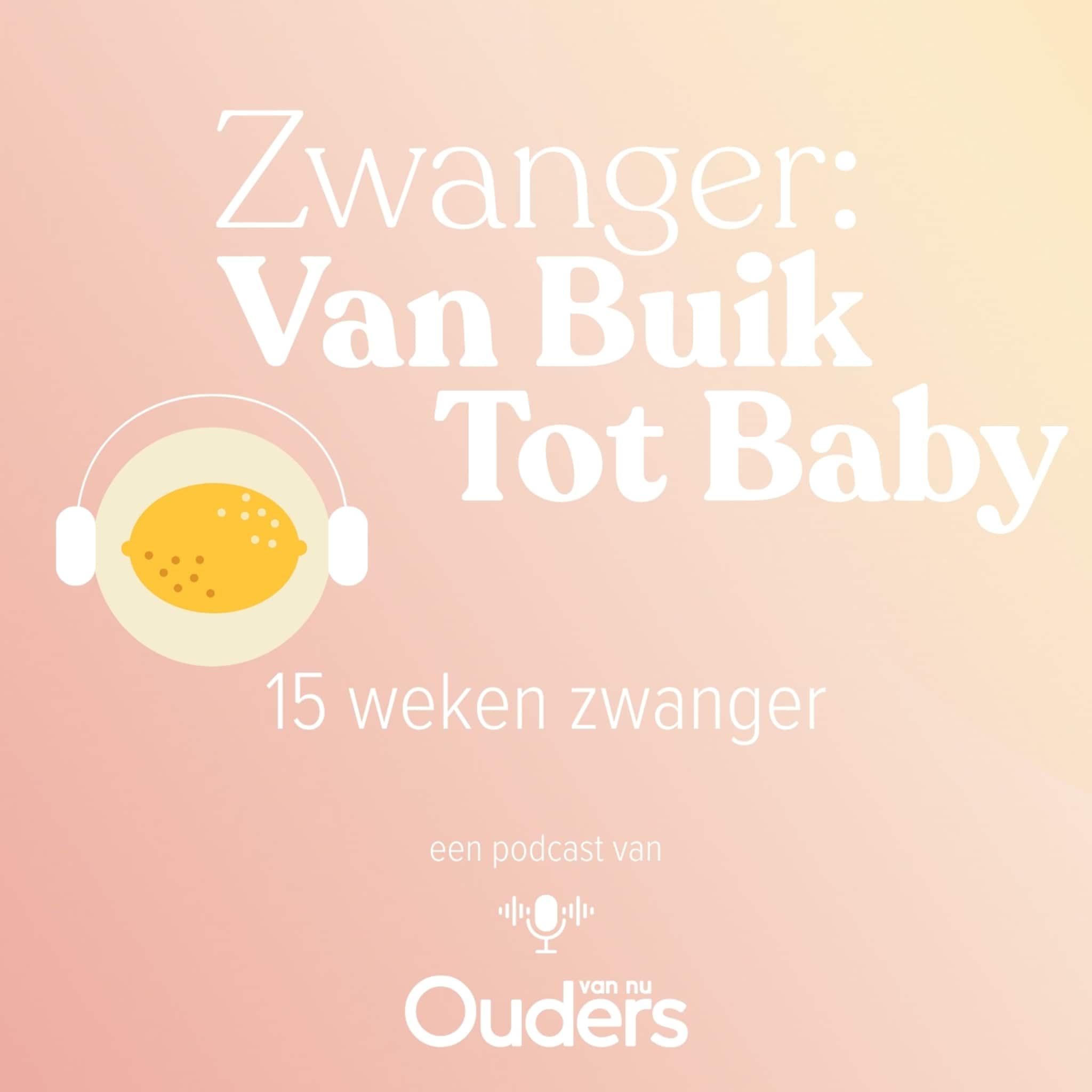 zwanger van buik tot baby 15 weken zwanger