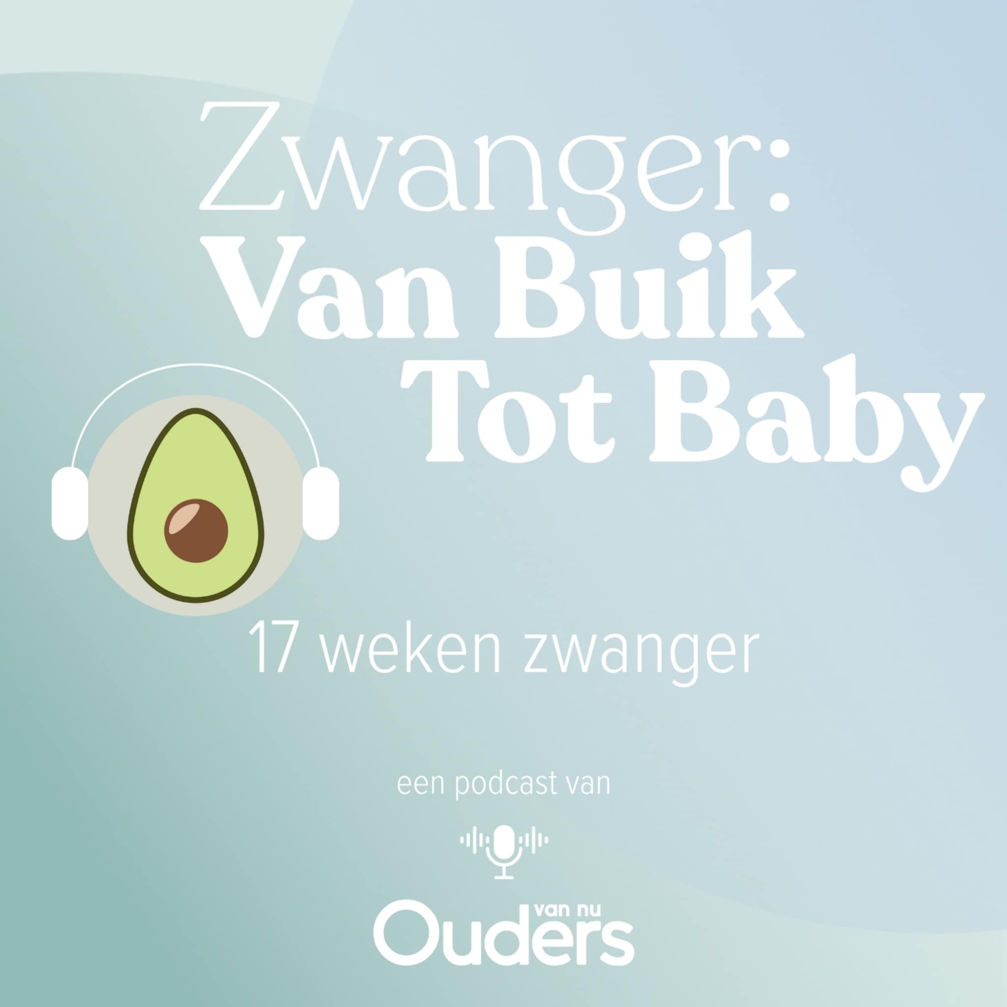 zwanger van buik tot baby 17 weken zwanger