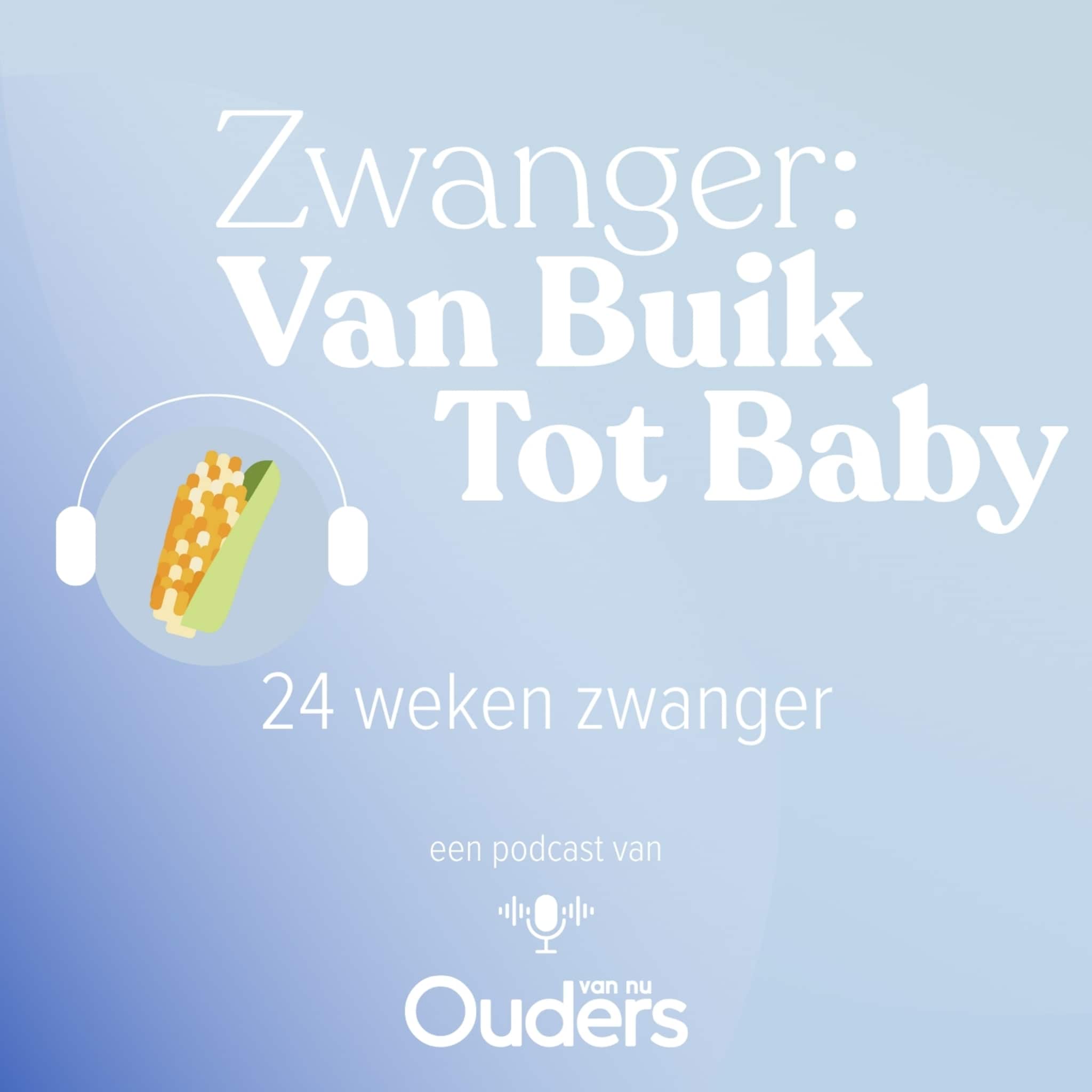 zwanger van buik tot baby 24 weken zwanger