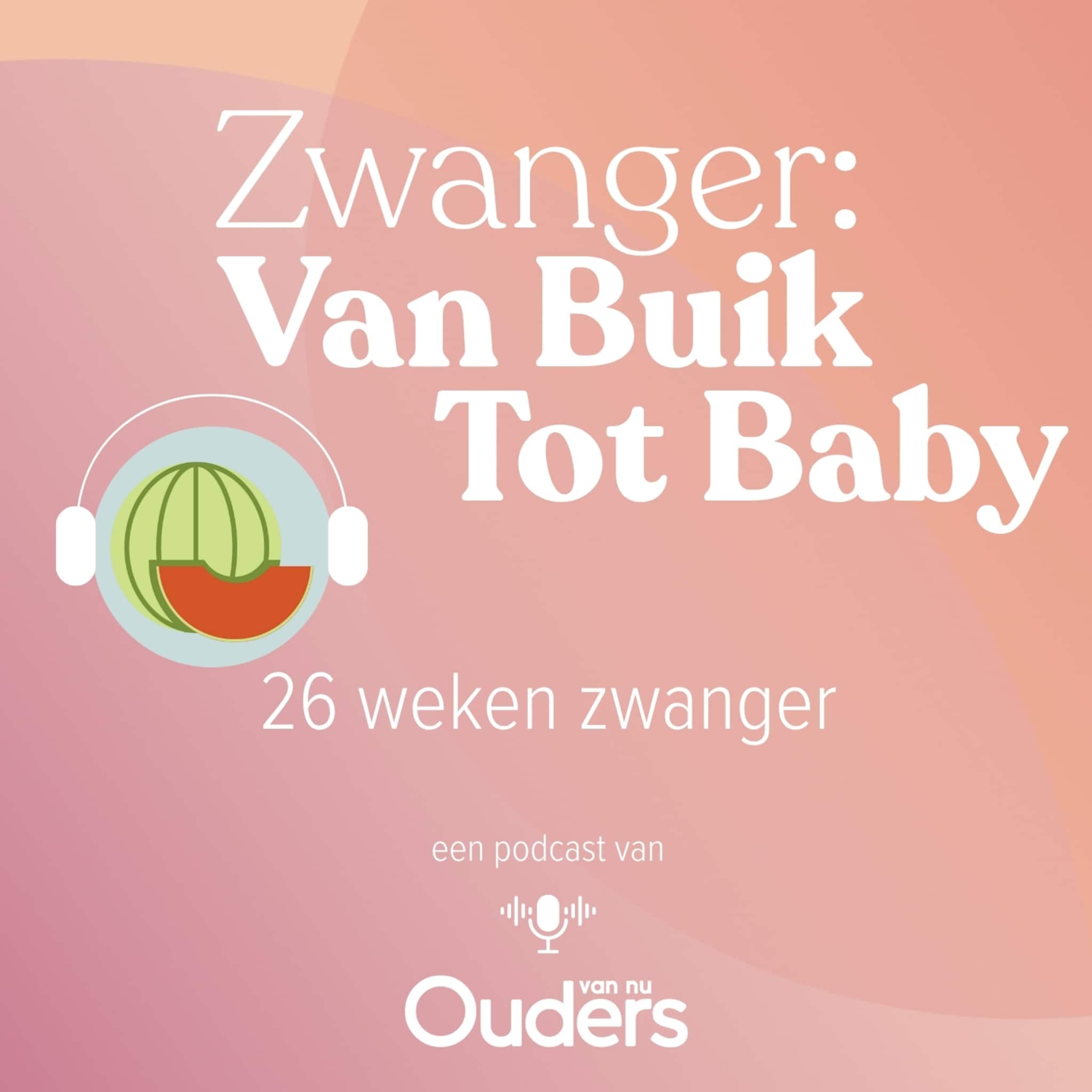 zwanger van buik tot baby 26 weken zwanger