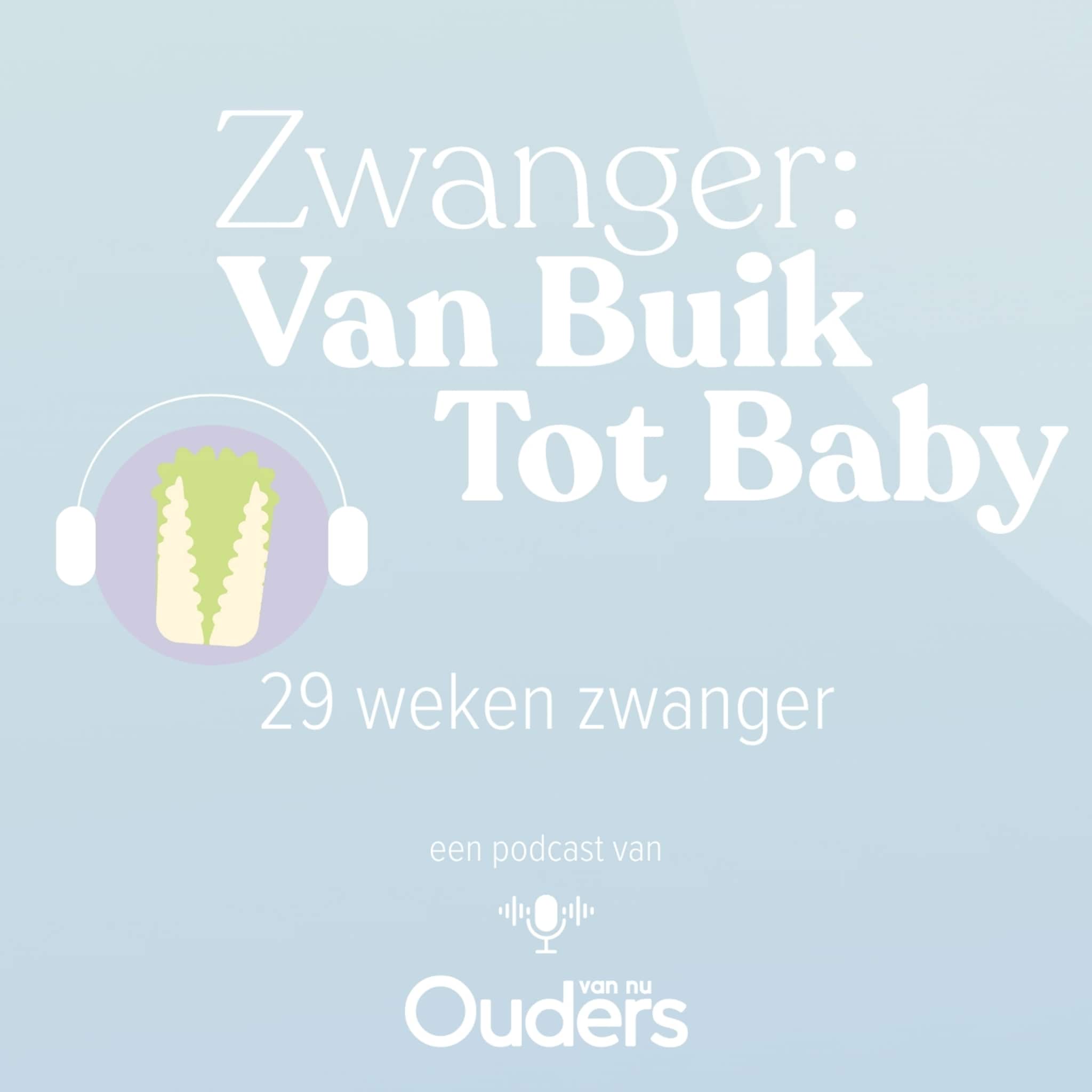 zwanger van buik tot baby 29 weken zwanger