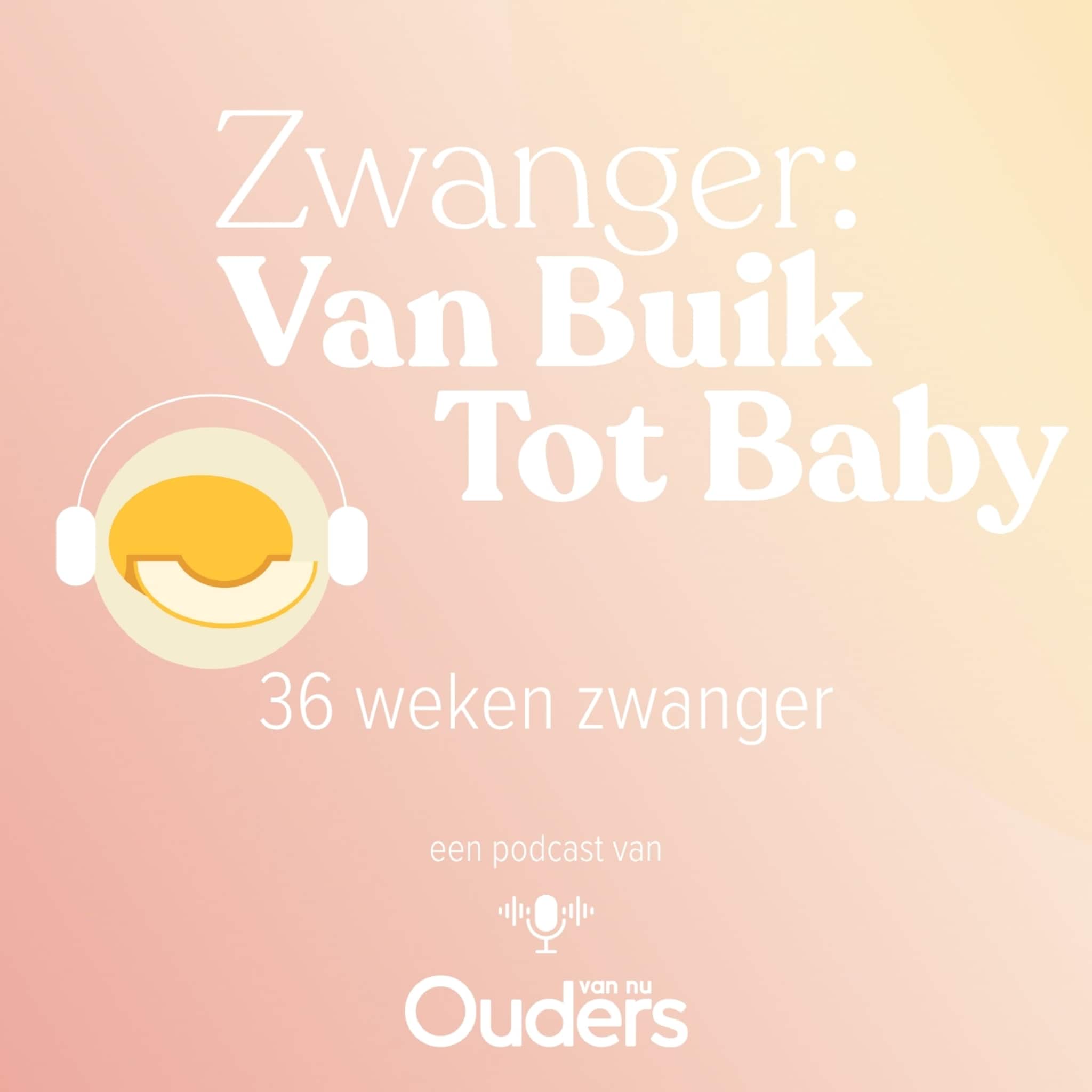 zwanger van buik tot baby 36 weken zwanger