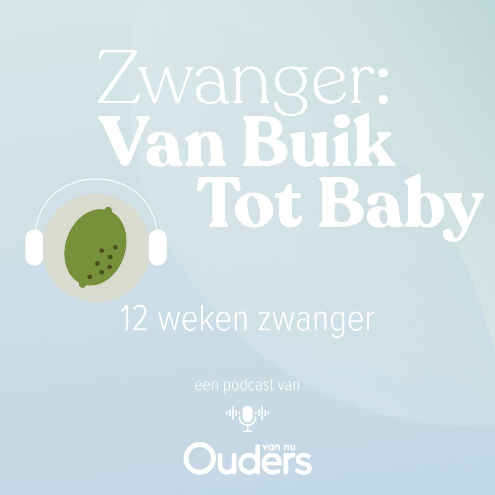 zwanger van buik tot baby 12 weken zwanger