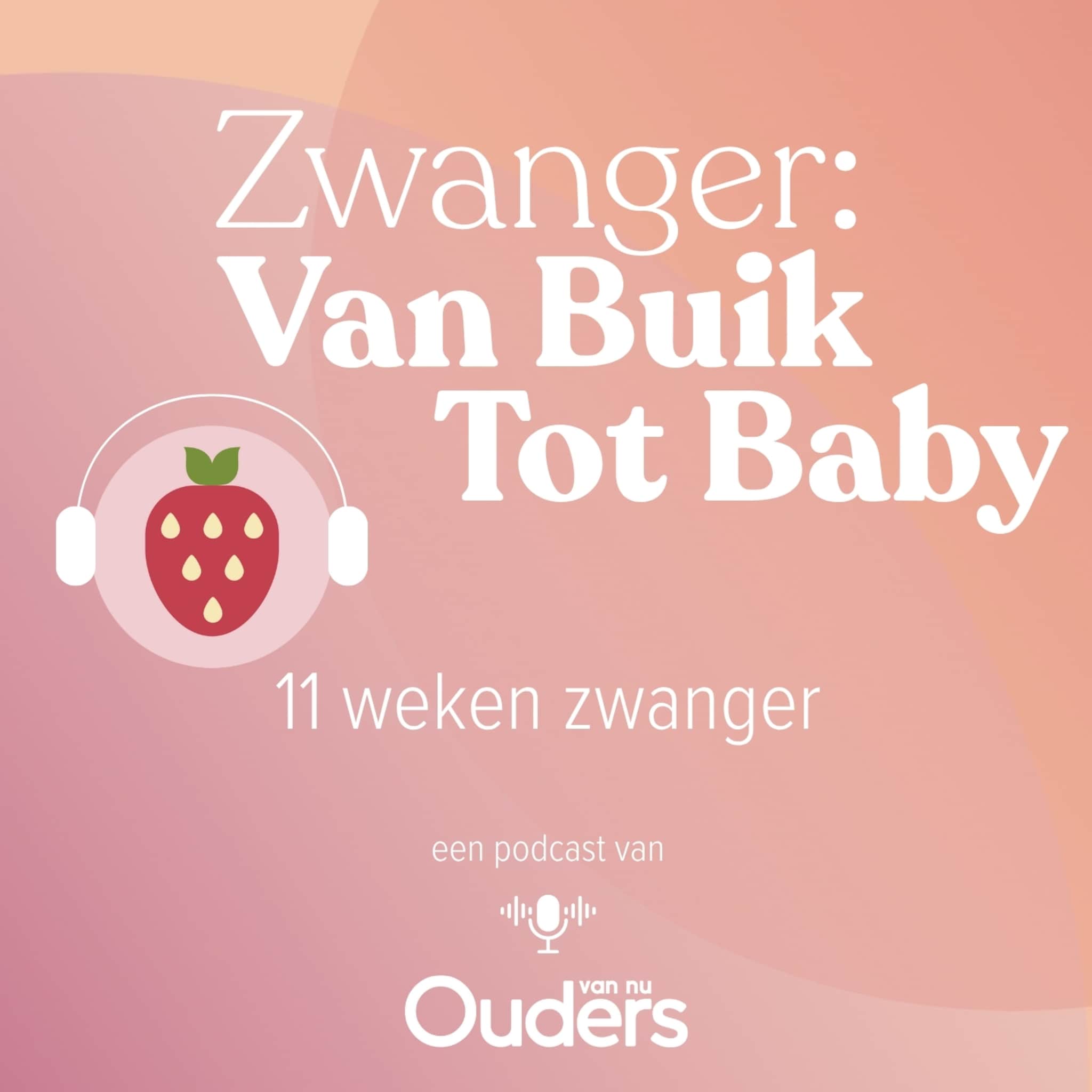 zwanger van buik tot baby 11 weken zwanger