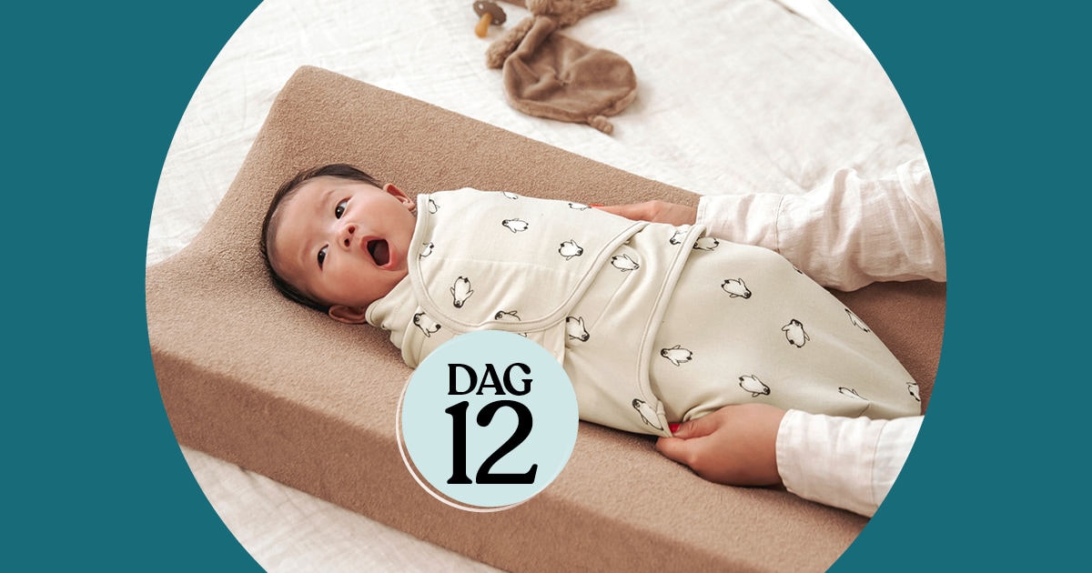 December Prijzenparade December Prijzenparade