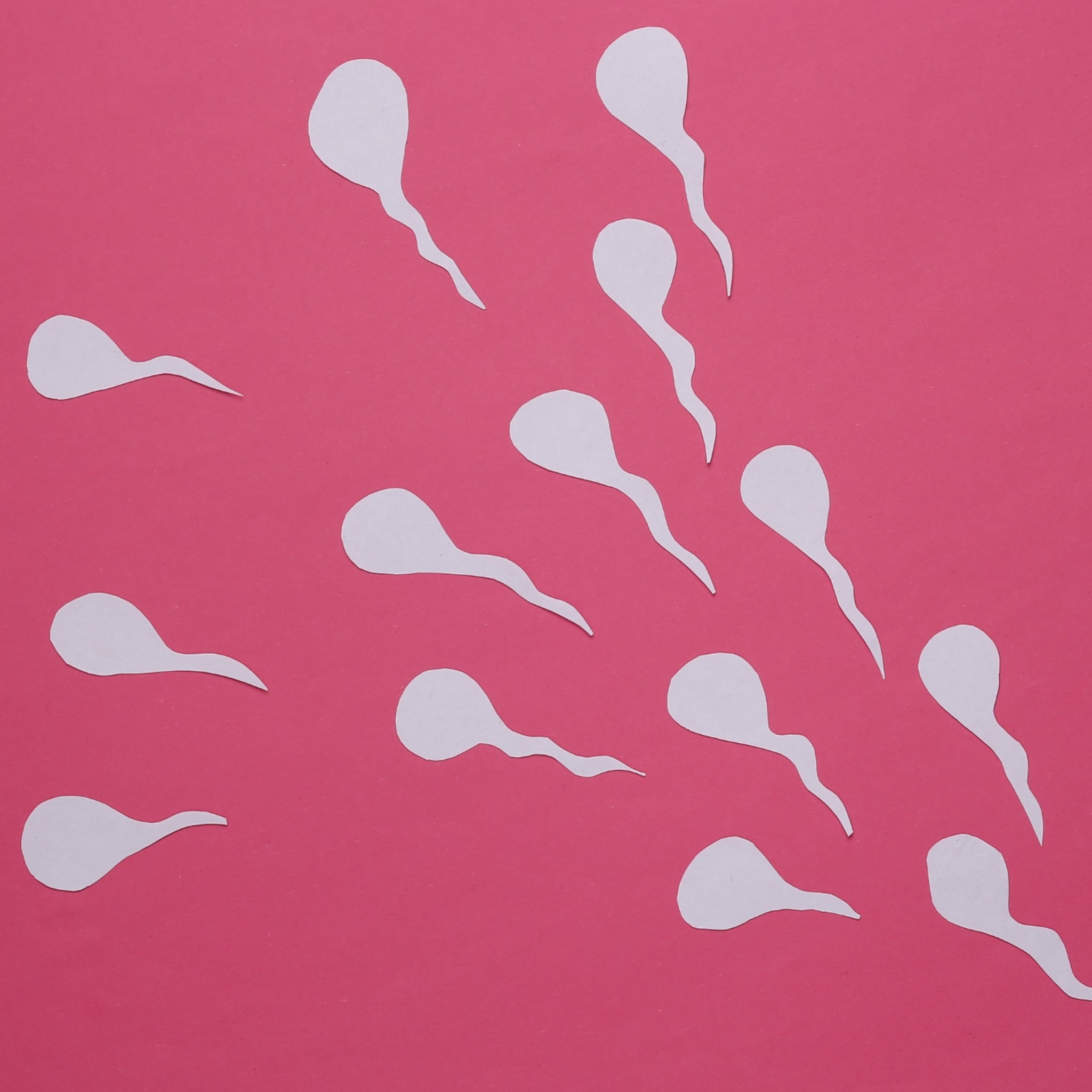 deense spermadonor met genmutatie meer kinderen dan gedacht