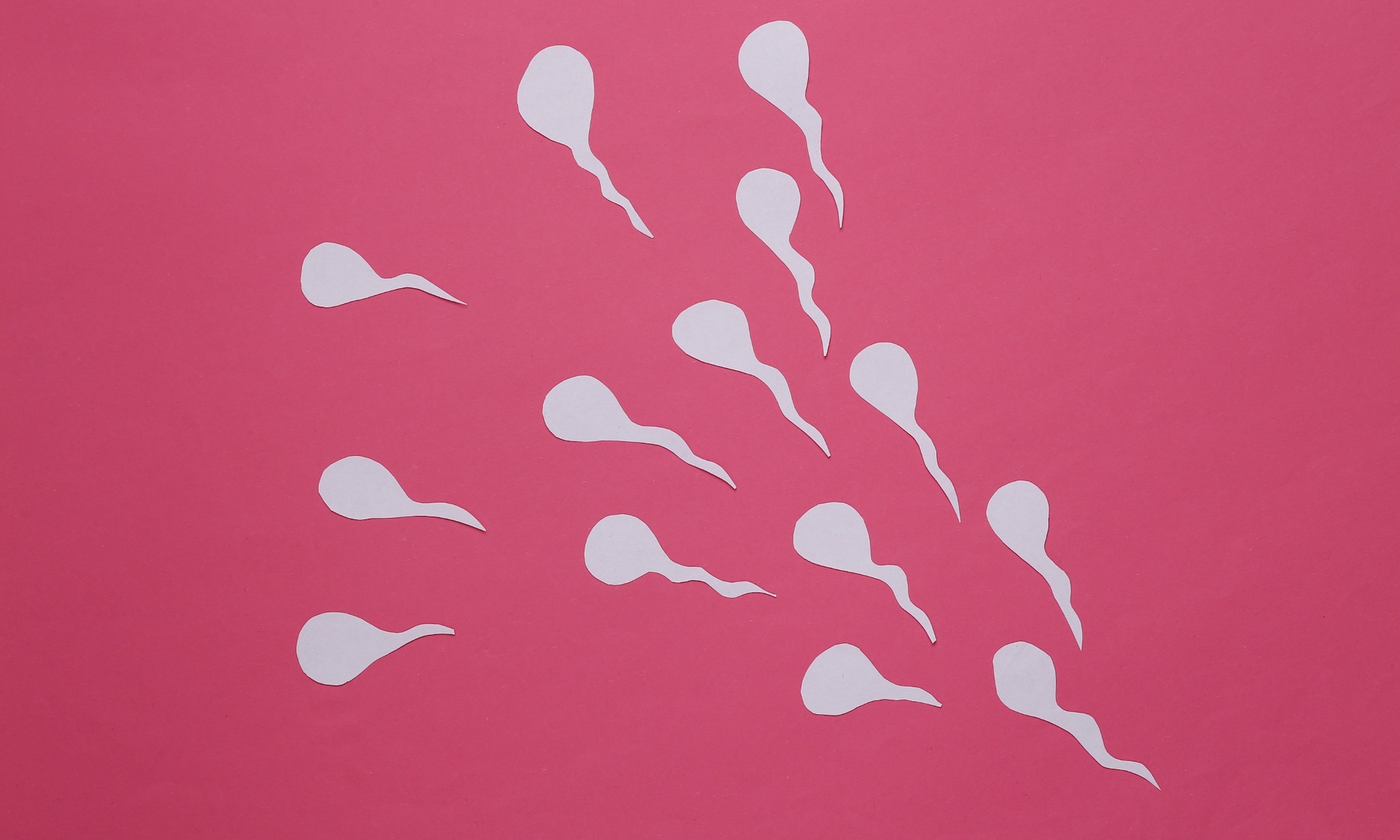 Concept van spermacellen geknipt van papier op roze achtergrond. Getty Images