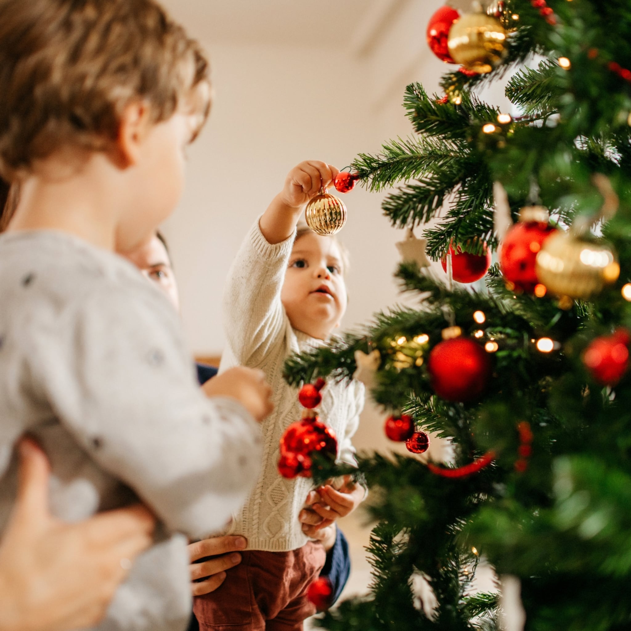een echte kerstboom zo blijft hij lang goed en voorkom je ongelukken