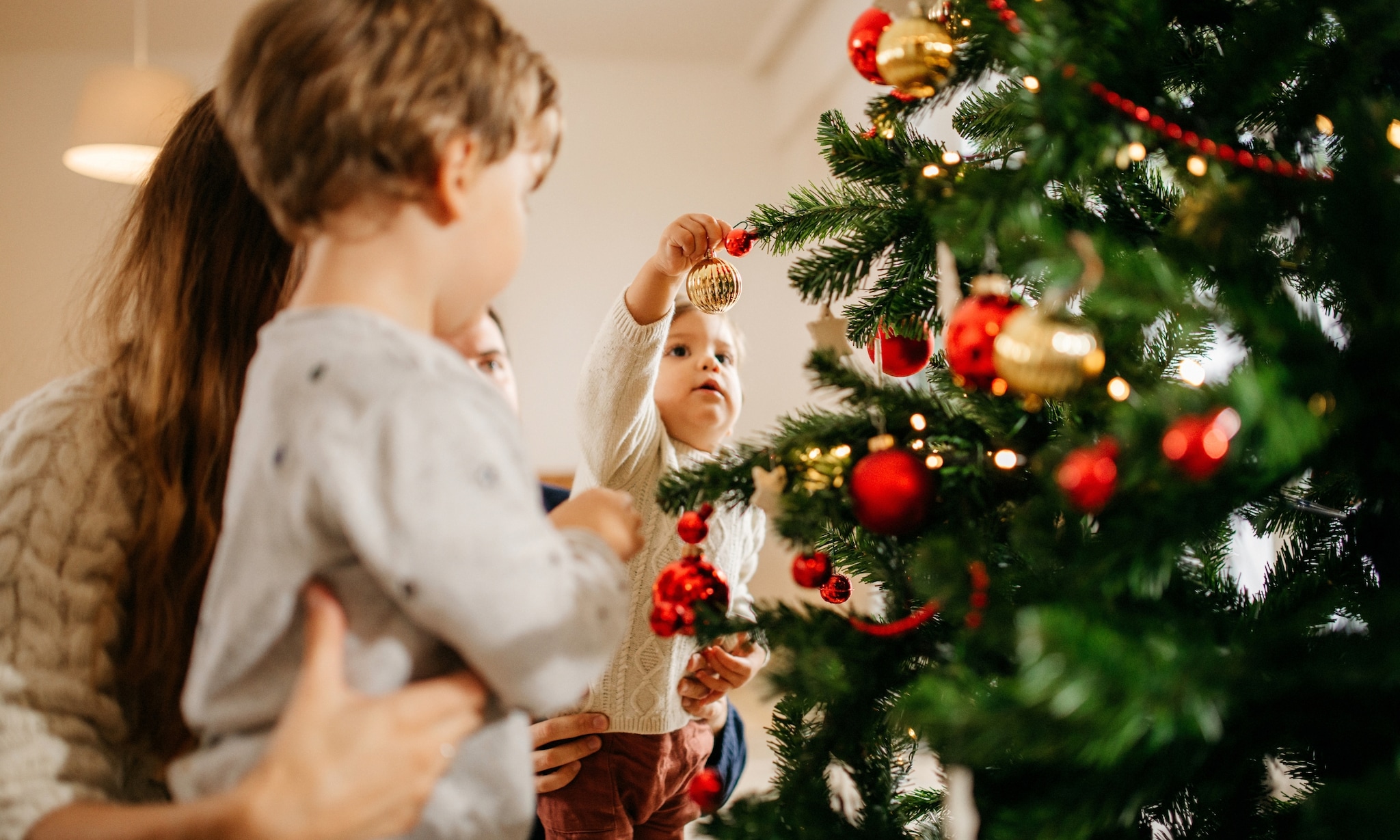 Een echte kerstboom? Zo blijft hij lang goed én voorkom je ongelukken Getty Images