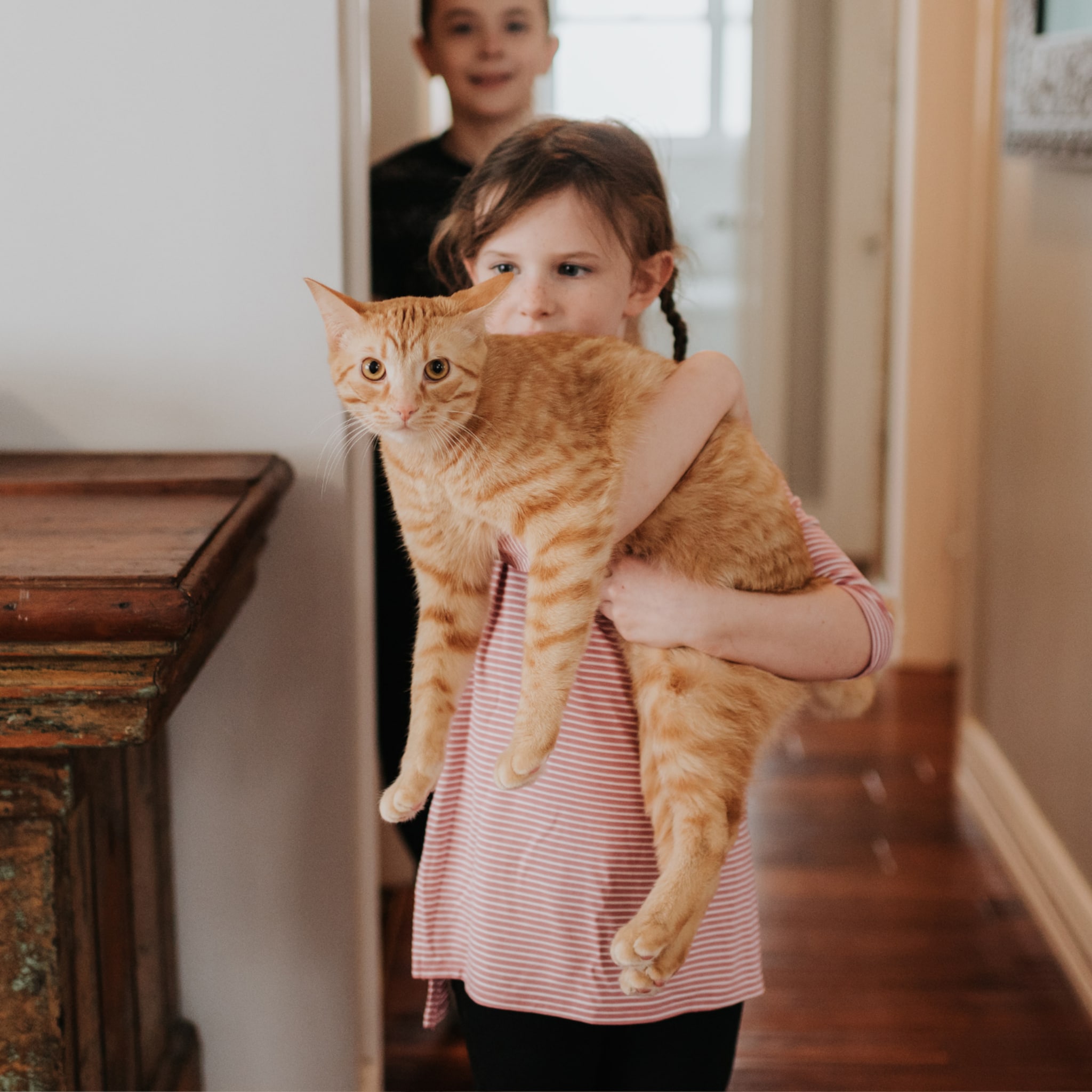 kattenkrabziekte bij kinderen