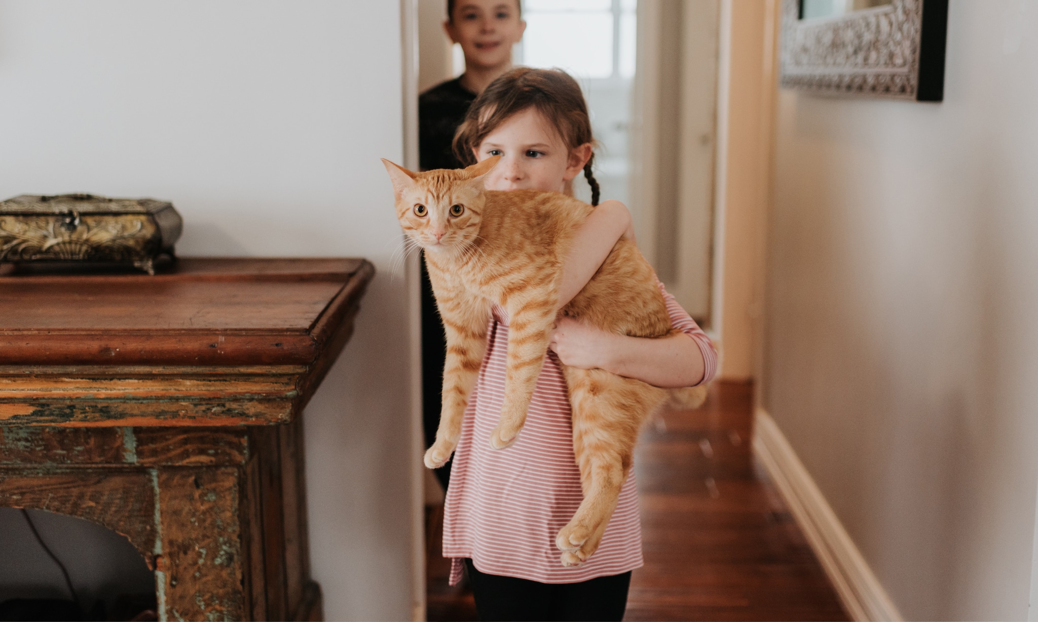 Gekrabd door de kat Check je kind op deze 3 signalen van de kattenkrabziekte  Getty Images