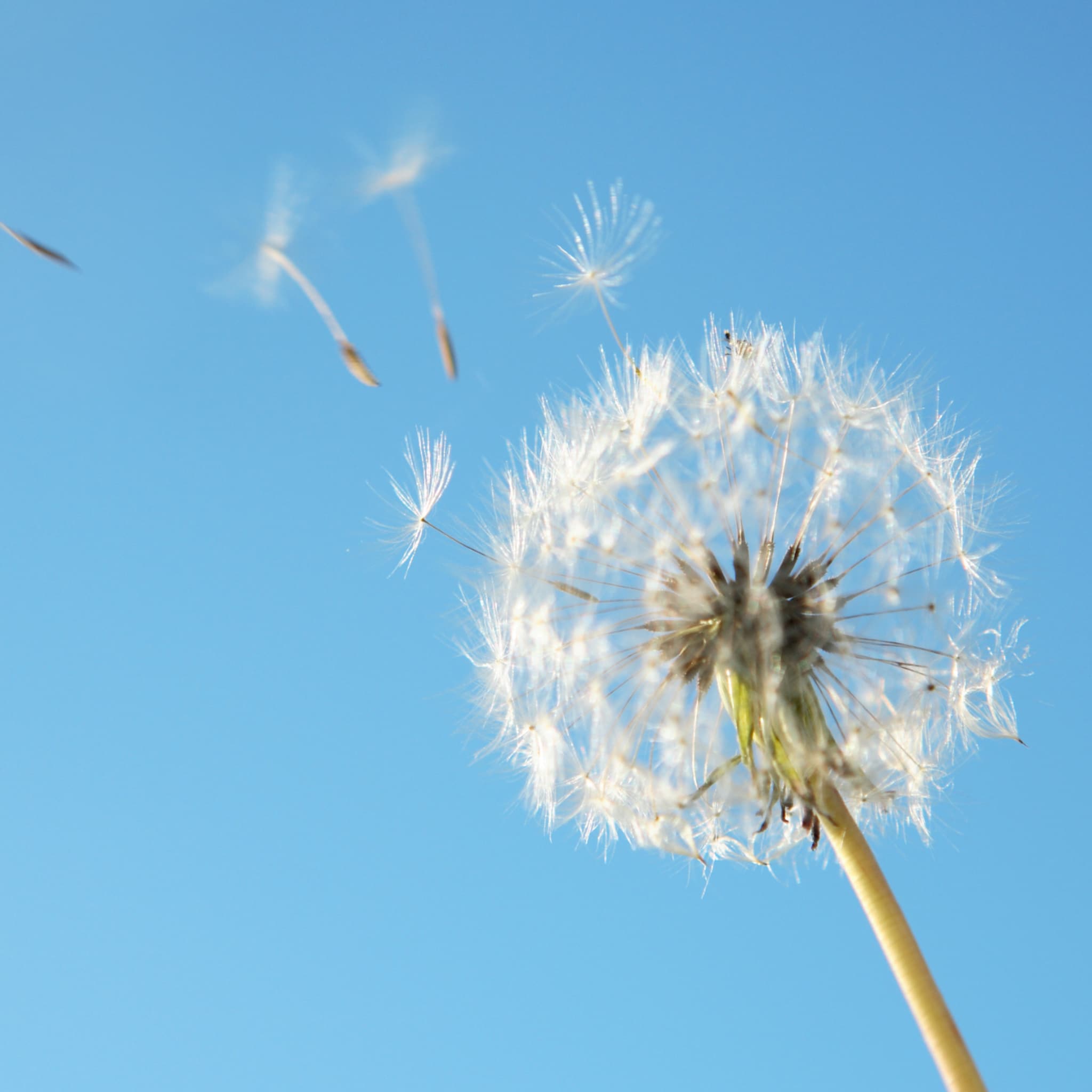 signalen van een vroeggeboorte