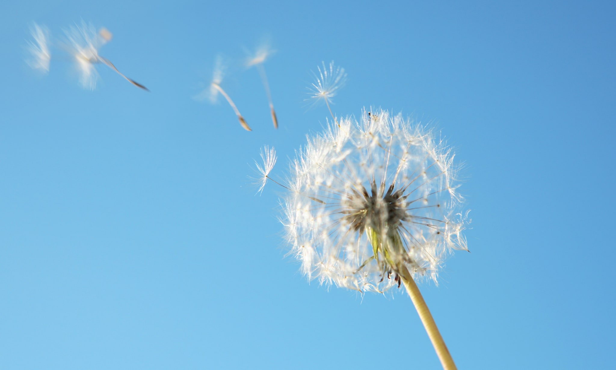 Vroeggeboorte 5 signalen die je nooit mag negeren (en wat je moet doen) Getty Images