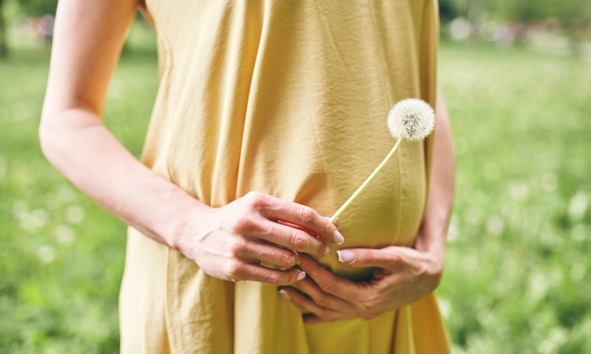 Zwangere vrouw in tuin houdt pluis van paardenbloem vast, bij artikel over freebirthing. Getty Images