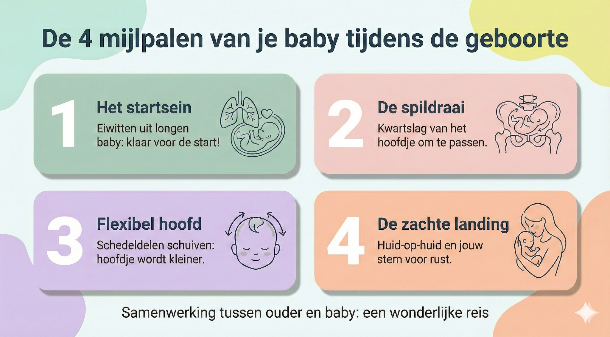 Hoe beleeft je baby de geboorte de vier fases van bevallen tot geboren worden Illustratie: Google Gemini