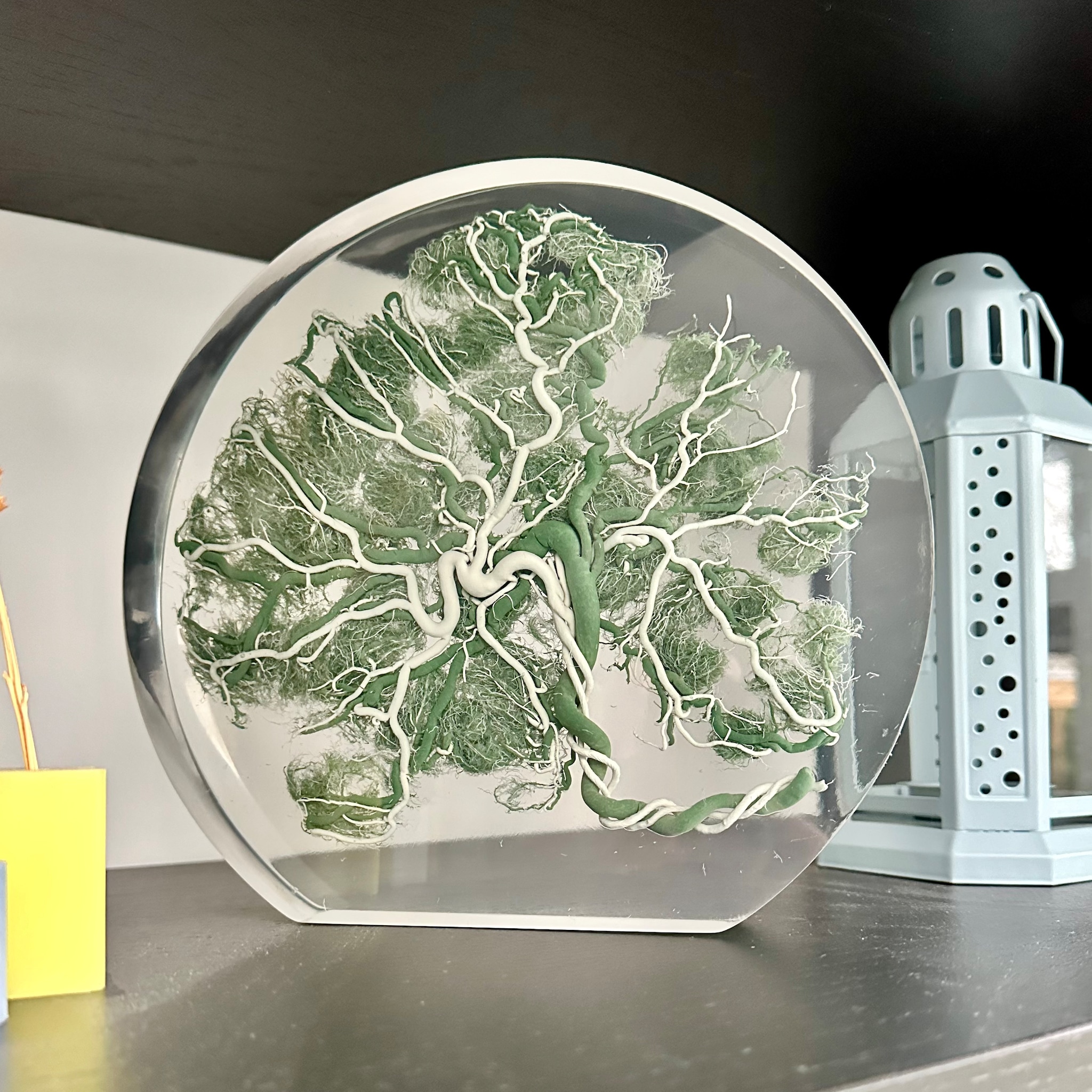 Levensboom placenta kunstwerk privébeeld