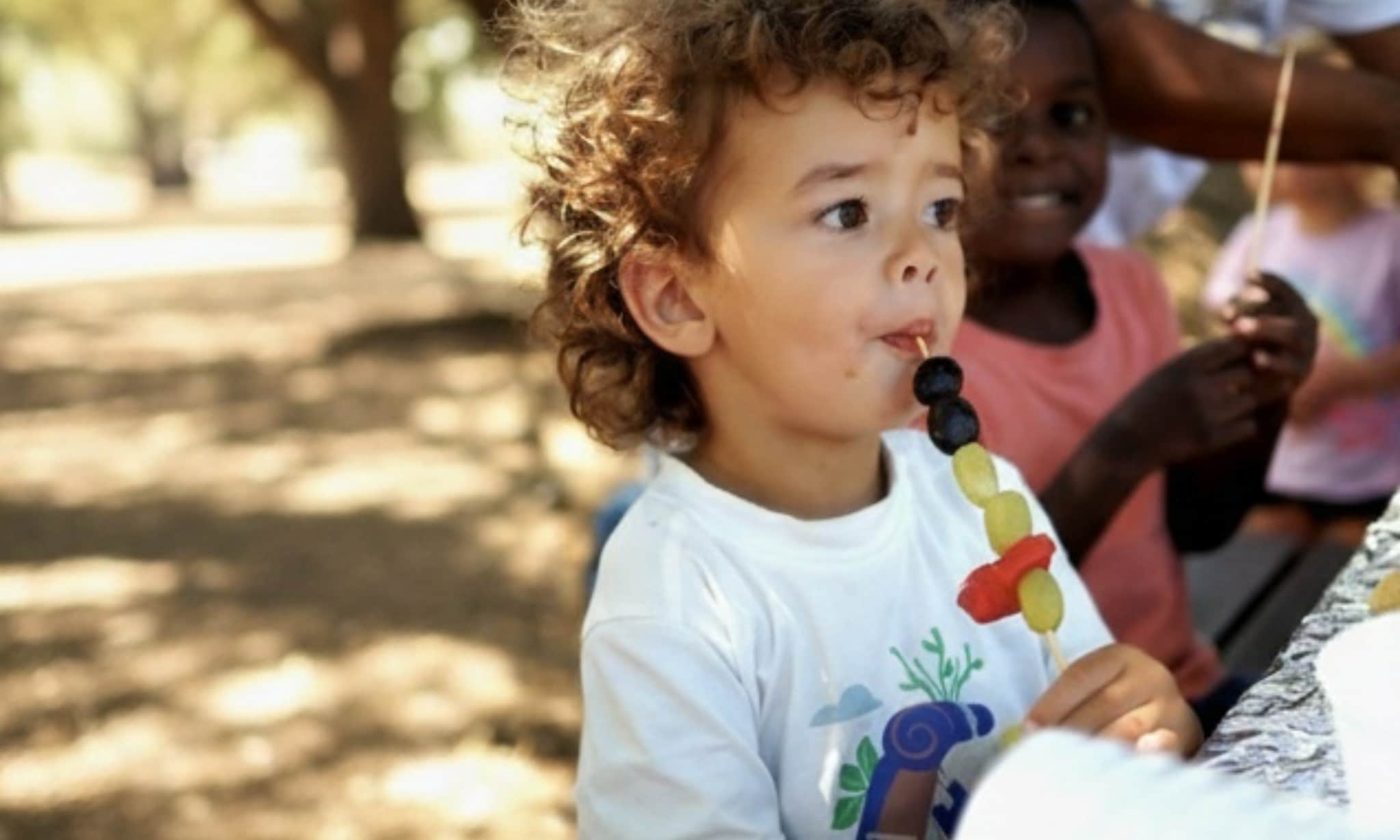 De zoon van Eveline eet een fruitspies in het park op zijn tweede verjaardagfeestje, een nannyparty. privé
