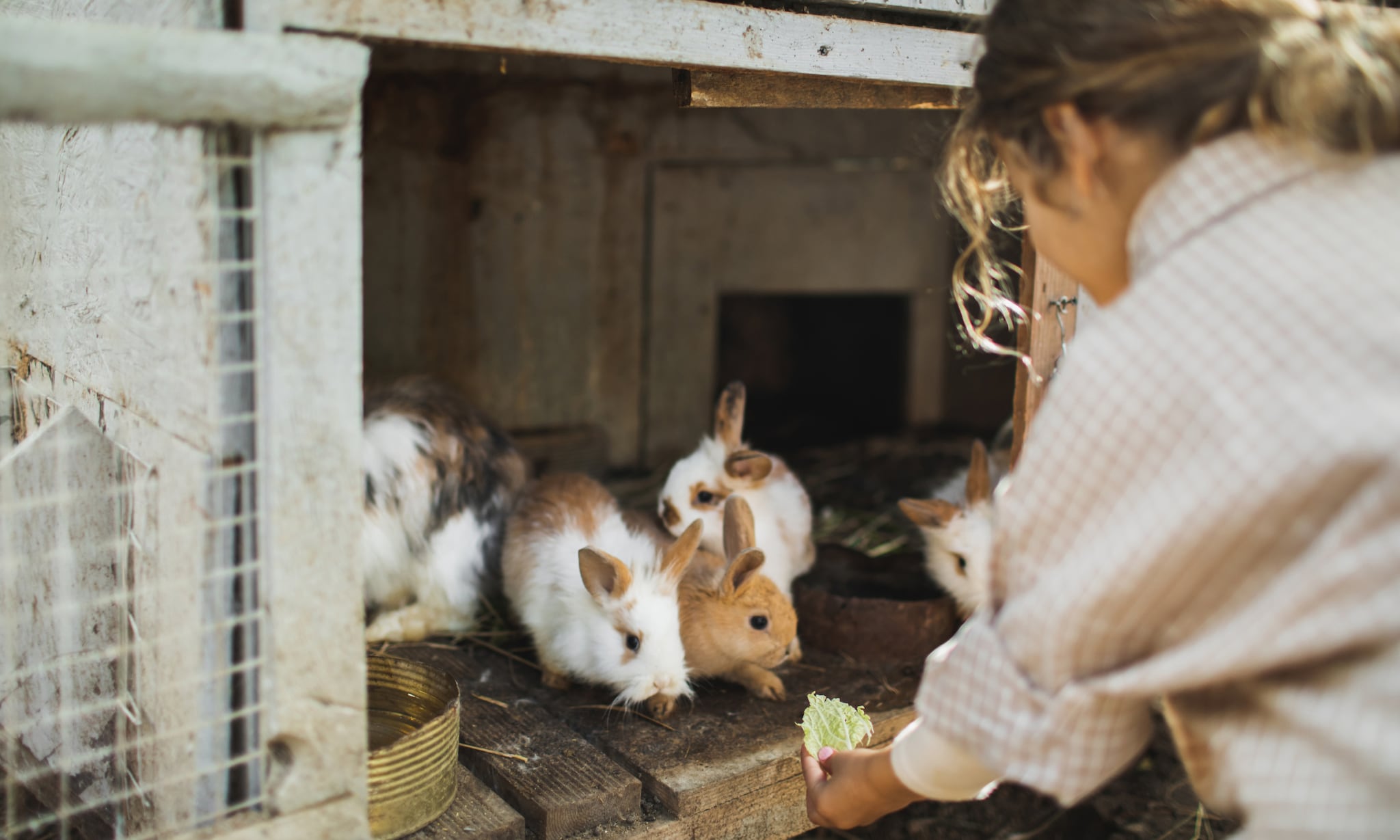 Huisdier voor de kinderen De voor- en nadelen op een rijtje Getty Images