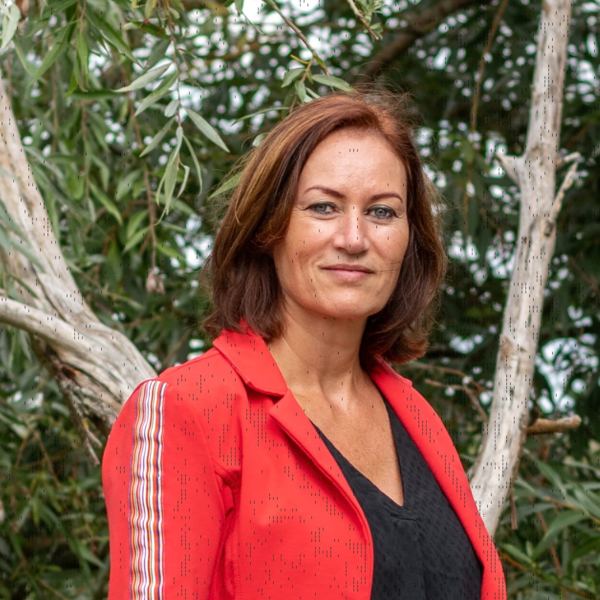 had ik maar ilonka traumatische bevalling emdr