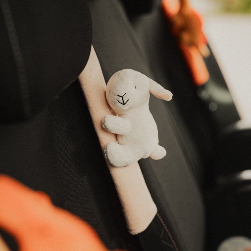 Cute since 1999 gordelkussen lammetje Cute since 1999