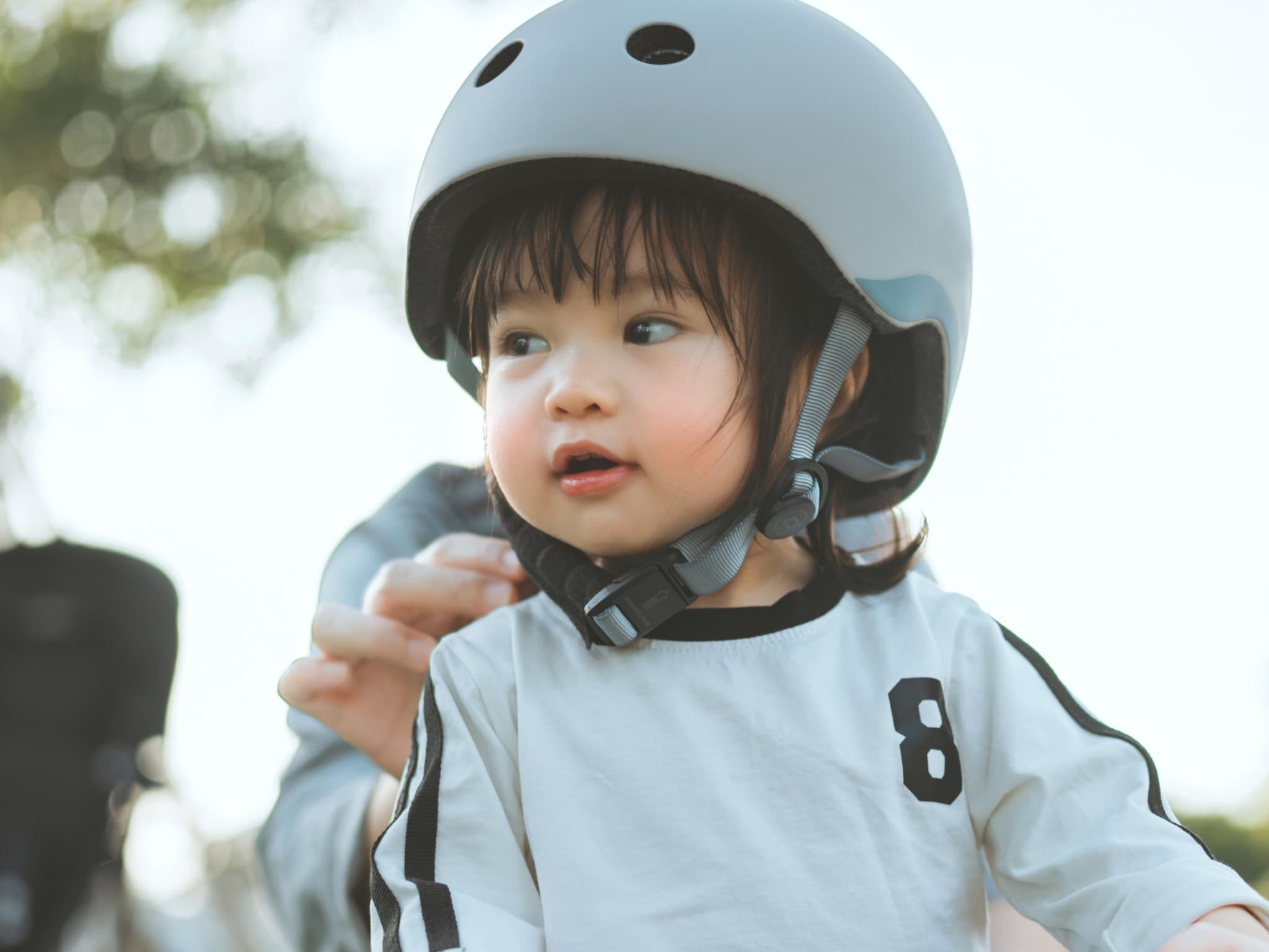 alternatieven bakfiets