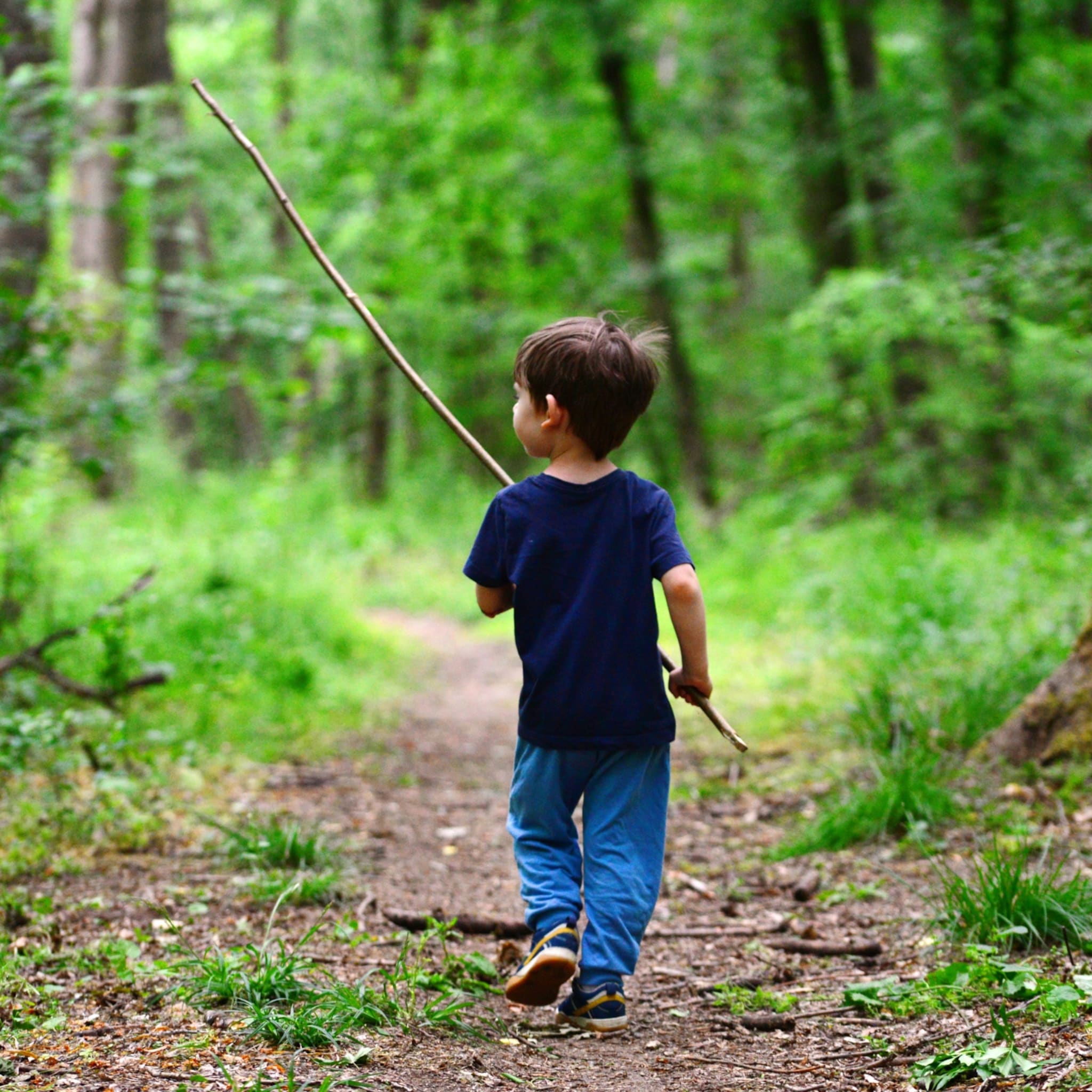 7x de leukste kabouterpaden in nederland