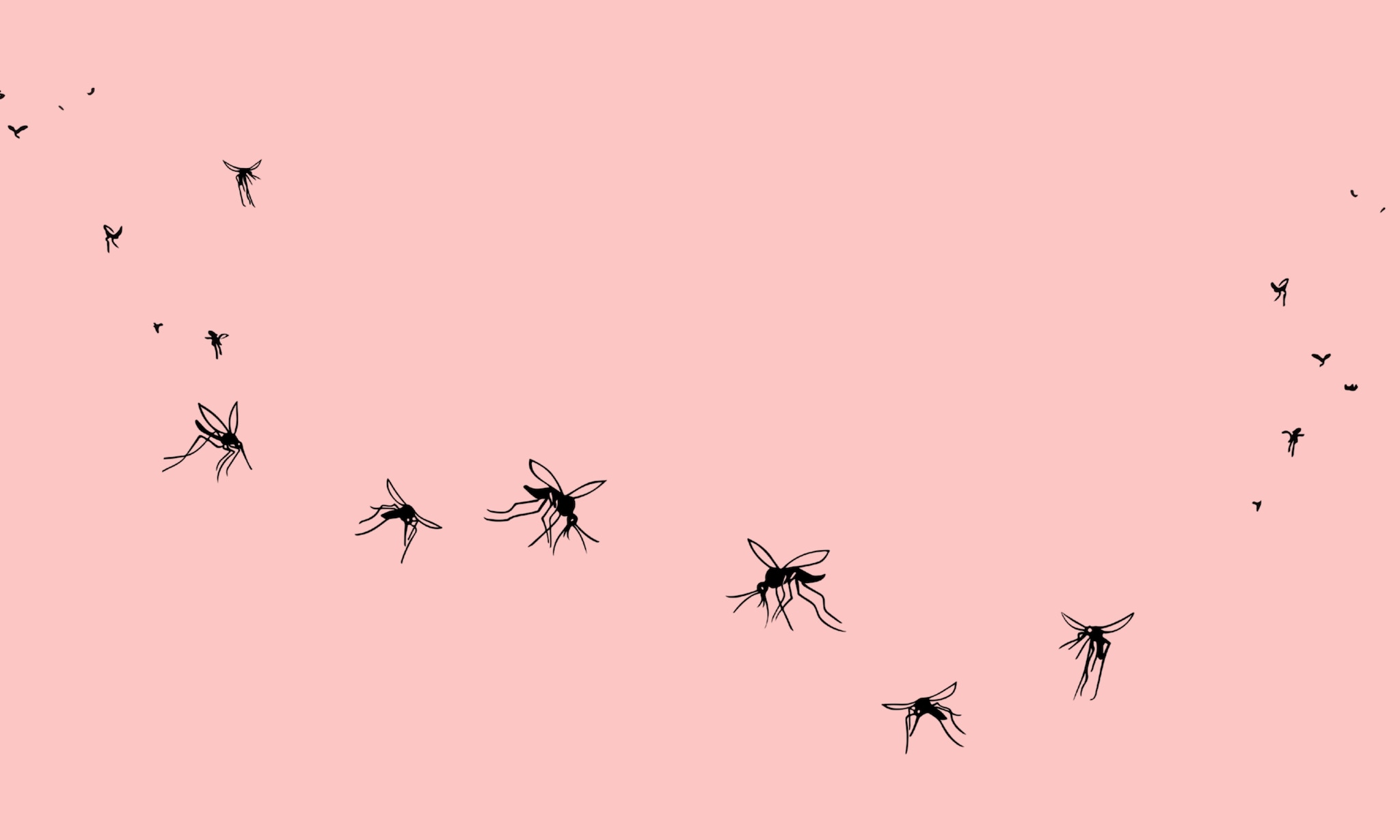 Klamboe of hemeltje tegen muggen bij je baby, zo kan het veilig