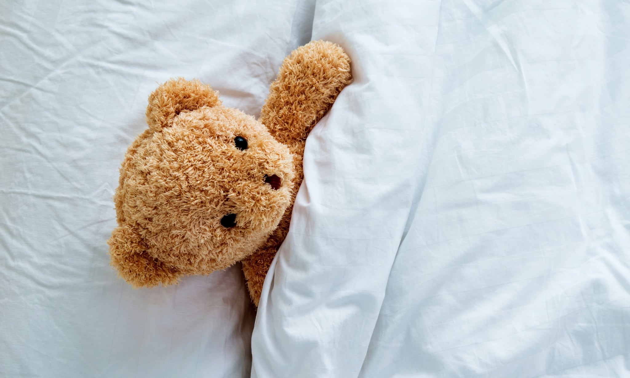 Regelmatig een knuffel wassen is zeker geen overbodige luxe.