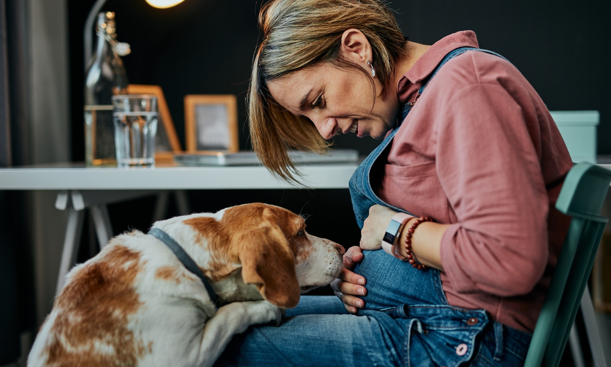 Hoewel stevig bewijs ontbreekt, weten sommige vrouwen het zeker: honden en katten voelen dat je zwanger bent. Soms zelfs voordat jij het weet.
