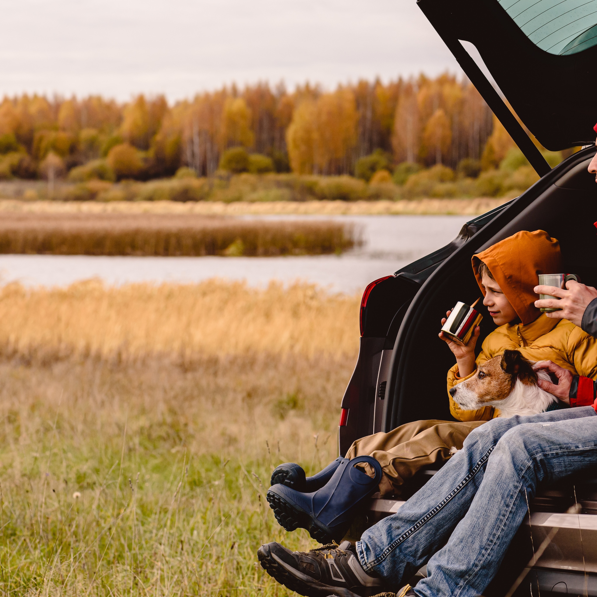 herfstvakantie de leukste bestemmingen met kinderen