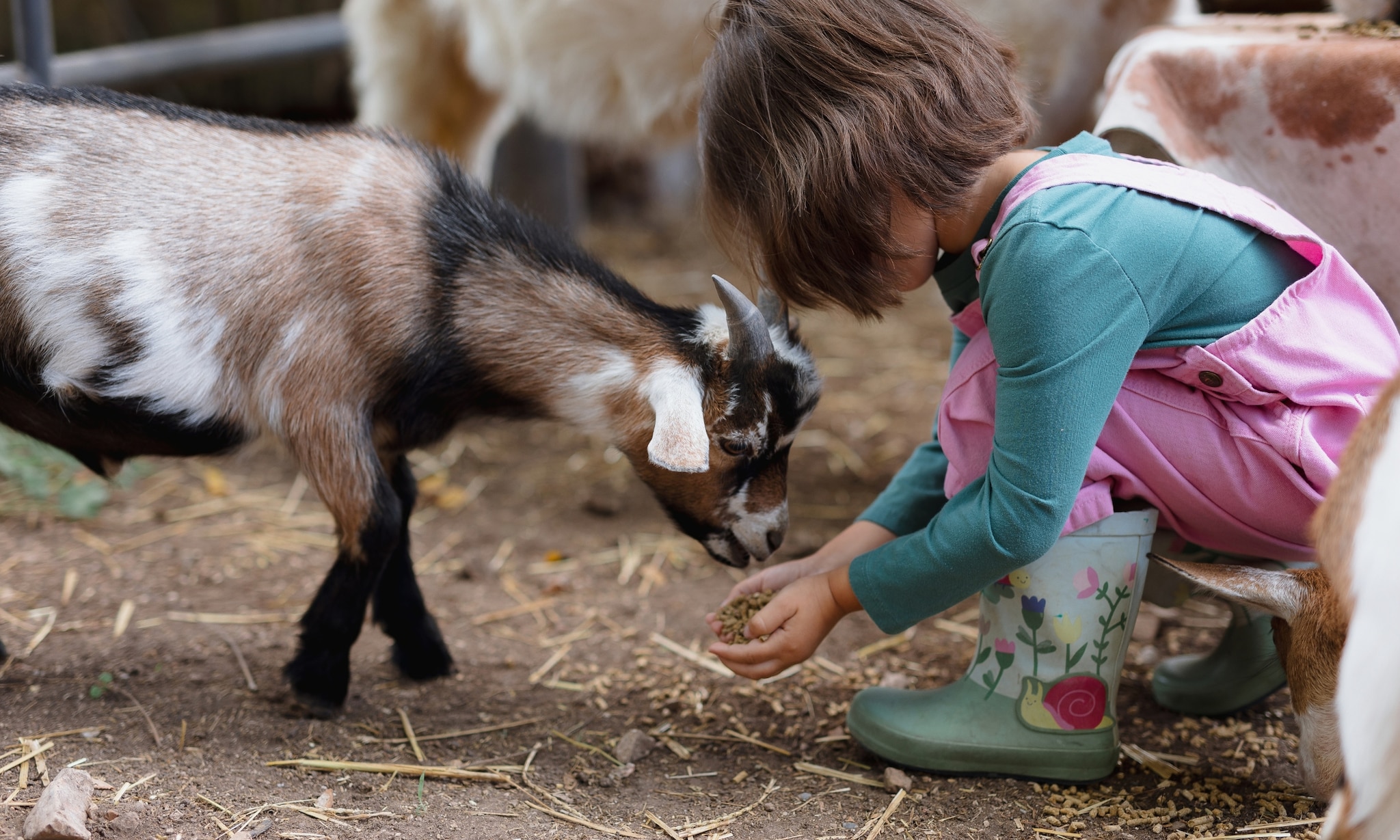 Een (kinder)boerderij is altijd een goed idee!